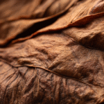 Connecticut Broadleaf