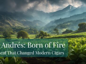 A lush, green tobacco field stretches toward distant, misty mountains under dramatic, sunlit clouds. Trees dot the landscape. Text overlay reads: “San Andrés Wrapper: Born of Fire – The Leaf That Changed Modern Cigars.”.